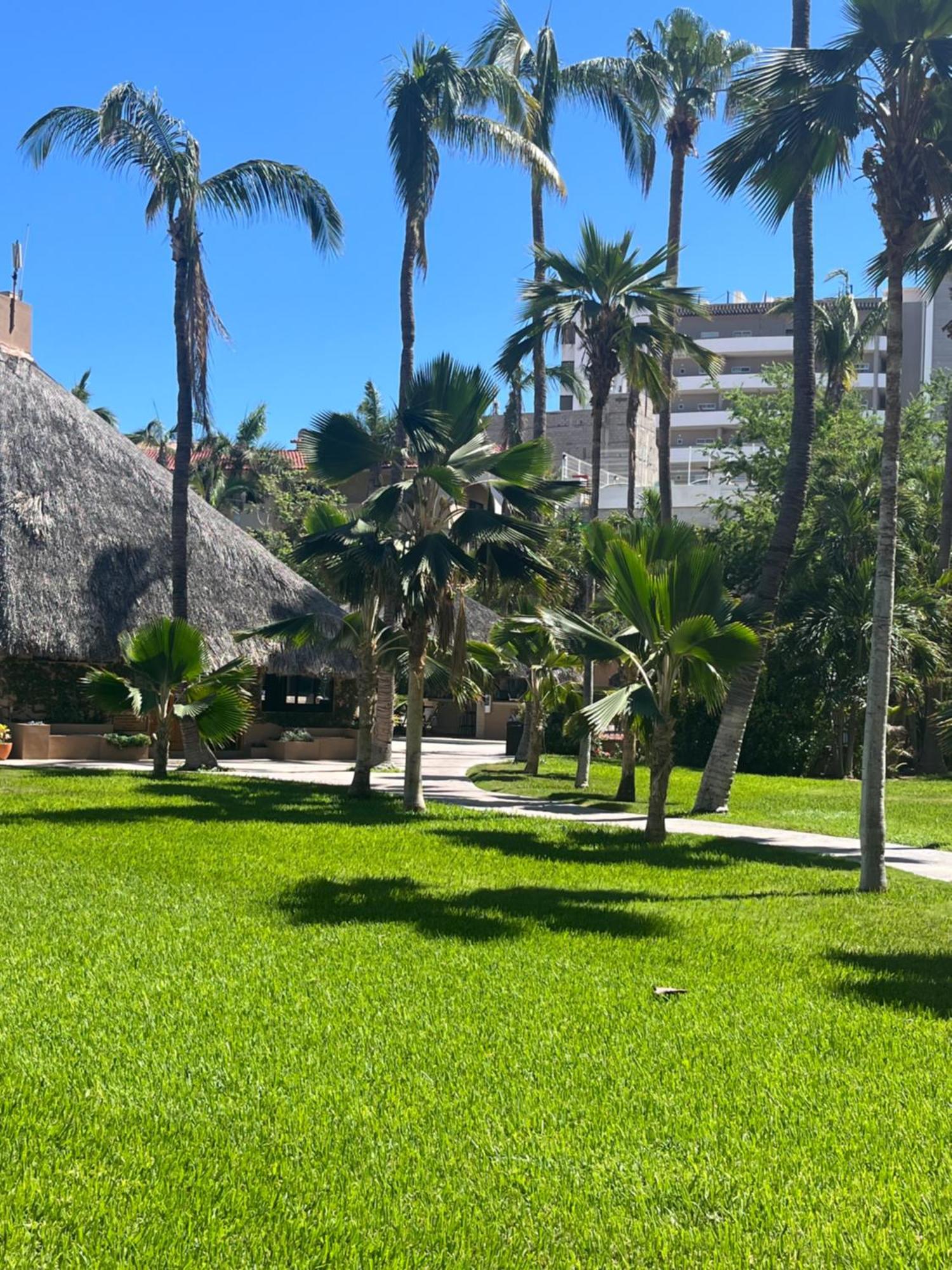 Casa Reposado Aparthotel Cabo San Lucas Exterior photo